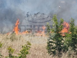 Бургас - местност Острицата - пожар