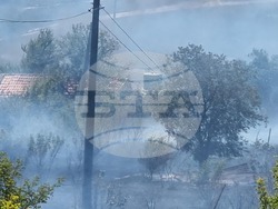 Бургас - местност Острицата - пожар