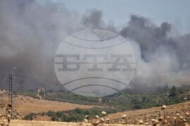 Бургас - местност Острицата - пожар