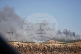 Бургас - местност Острицата - пожар