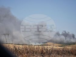 Бургас - местност Острицата - пожар