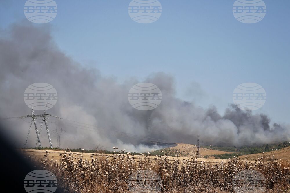 Бургас - местност Острицата - пожар