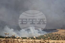 Бургас - местност Острицата - пожар