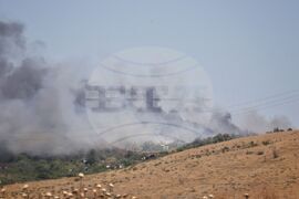 Бургас - местност Острицата - пожар