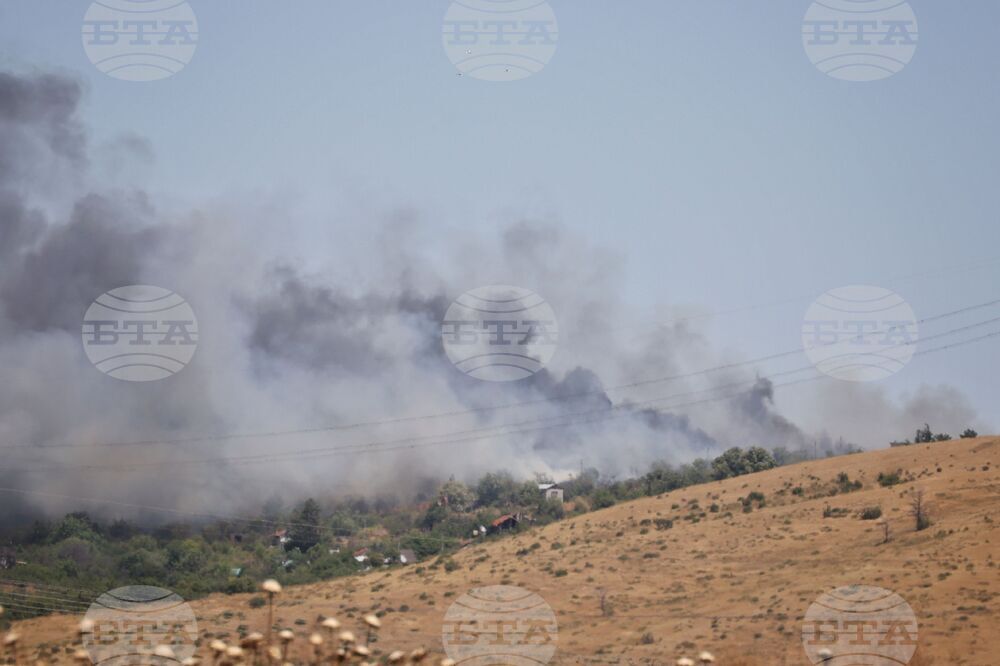Бургас - местност Острицата - пожар
