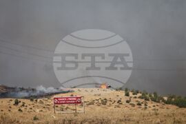 Бургас - местност Острицата - пожар