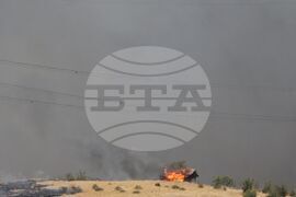 Бургас - местност Острицата - пожар