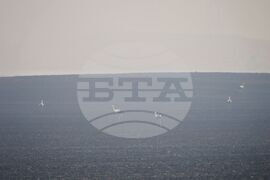 Бургас - местност Острицата - пожар