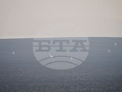 Бургас - местност Острицата - пожар