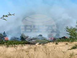 Бургас - местност Острицата - пожар