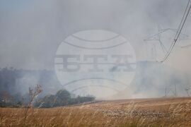 Бургас - местност Острицата - пожар