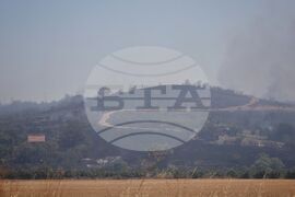 Бургас - местност Острицата - пожар