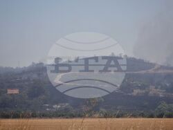 Бургас - местност Острицата - пожар