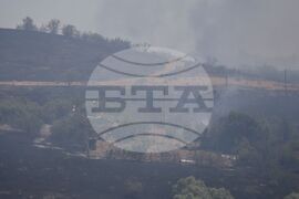 Бургас - местност Острицата - пожар