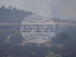 Бургас - местност Острицата - пожар