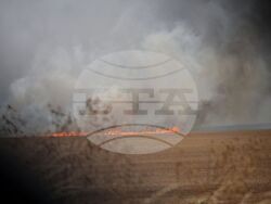 Бургас - местност Острицата - пожар