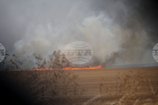 Пожарникари и доброволци гасят пожар, възникнал край дупнишкото село Баланово