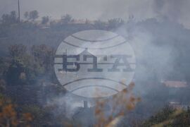 Бургас - местност Острицата - пожар