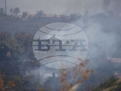 Бургас - местност Острицата - пожар