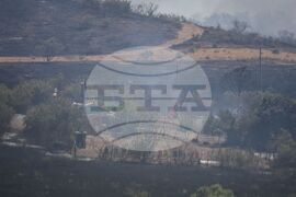 Бургас - местност Острицата - пожар