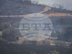 Бургас - местност Острицата - пожар