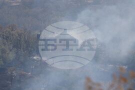 Бургас - местност Острицата - пожар