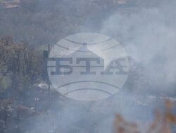 Бургас - местност Острицата - пожар