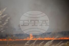 Бургас - местност Острицата - пожар
