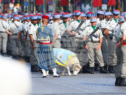 Франция - Париж - национален празник