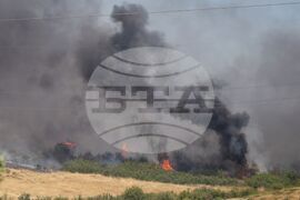 Бургас - местност Острицата - пожар