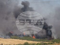 Бургас - местност Острицата - пожар