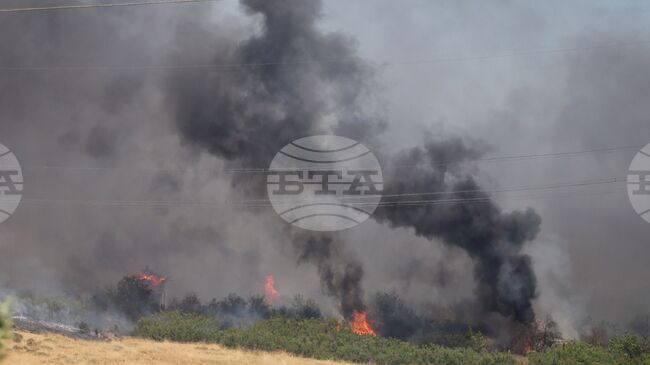 Голям пожар гори във фабрика край Анкара