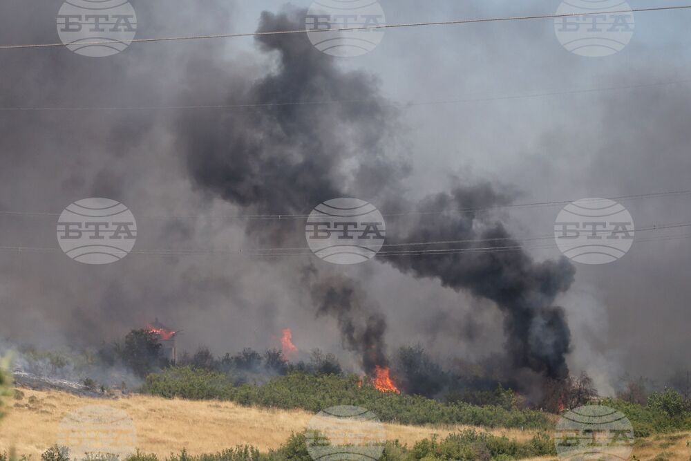 Голям пожар гори във фабрика край Анкара