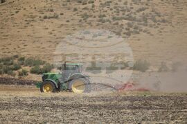 Бургас - местност Острицата - пожар