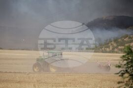 Бургас - местност Острицата - пожар