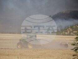 Бургас - местност Острицата - пожар