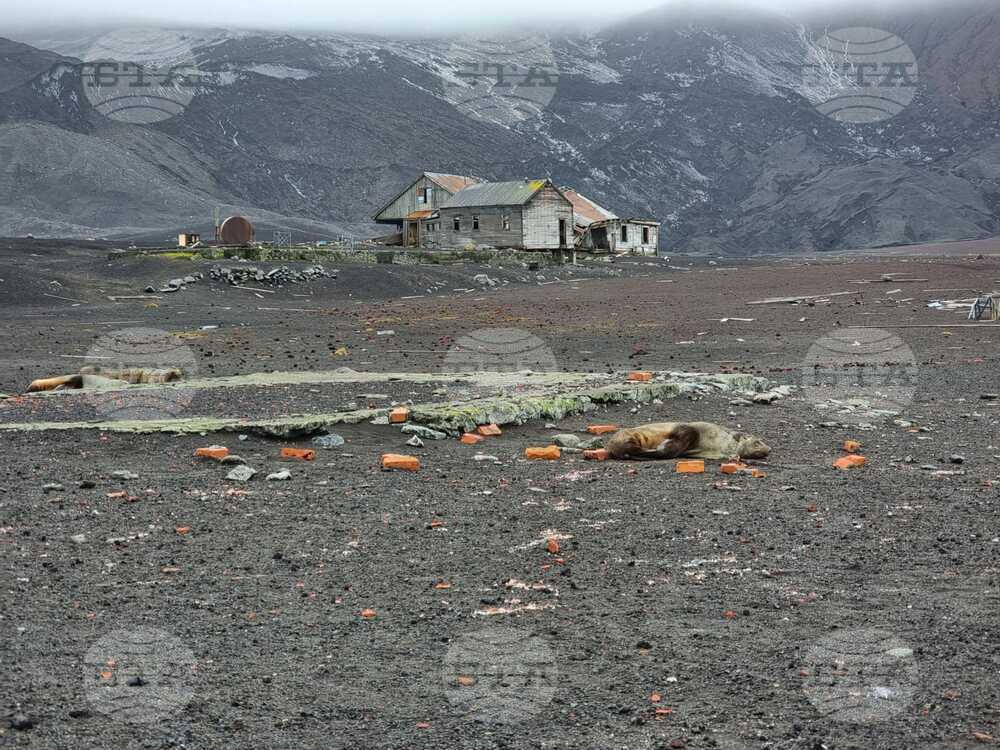 Ден 56 - Остров Дисепшън - Заливът на китоловците