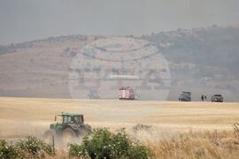 Бургас - местност Острицата - пожар