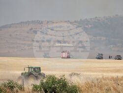 Бургас - местност Острицата - пожар