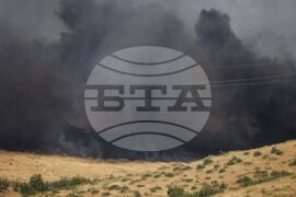 Бургас - местност Острицата - пожар