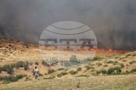 Бургас - местност Острицата - пожар