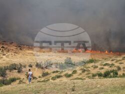 Бургас - местност Острицата - пожар