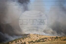 Бургас - местност Острицата - пожар