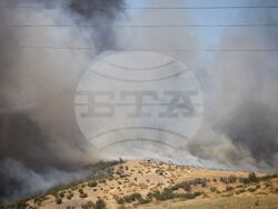 Бургас - местност Острицата - пожар