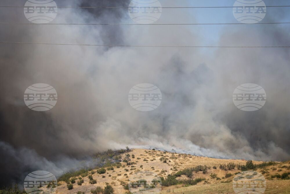 Бургас - местност Острицата - пожар