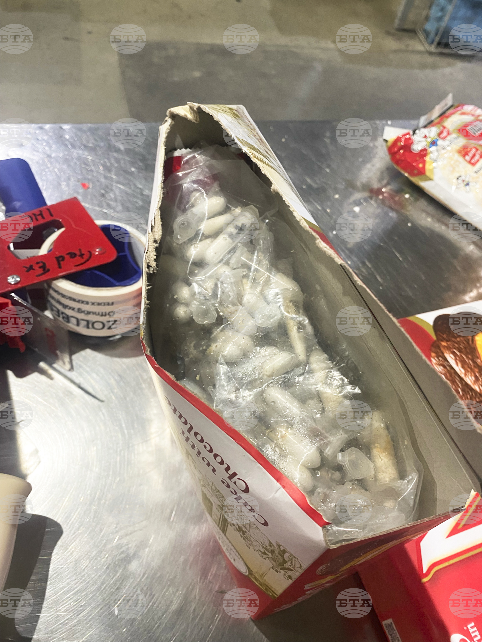 Germany Smuggled Spiders