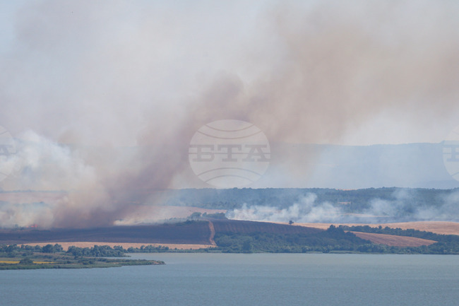 Пожарът край Зидарово, община Созопол, продължава да гори, кметът на селото подозира умишлен палеж