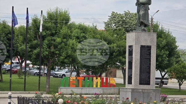 В община Летница през миналата година са събрани 80 лв. от такси за притежание на куче