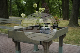 Банкя - парк „Държавното“ - парковo пространство за арттерапия