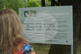 Банкя - парк „Държавното“ - парковo пространство за арттерапия